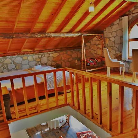 The Mira House