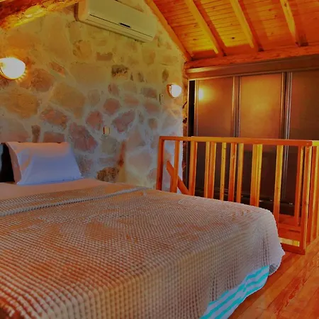 The Mira House *